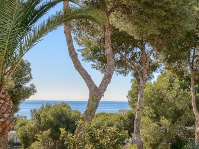 Miraflores Jardin B 32, Pool, Wifi In Mijas Costa La Cala De Mijas Kültér fotó